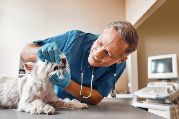 Best Emergency Dental Extractions in Desert Hot Springs, CA
