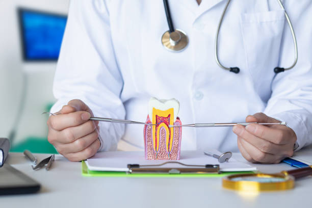 Best Emergency Dental Services for Seniors in Desert Hot Springs, CA